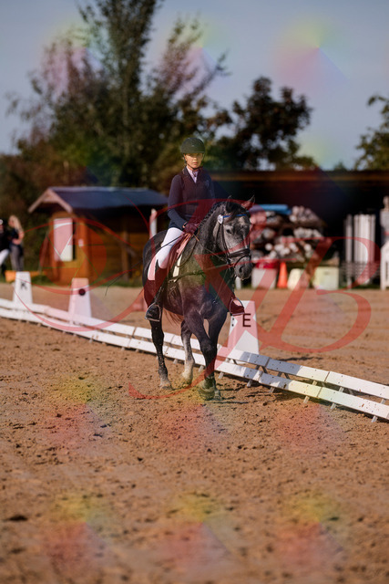 2026_10_03_Siefer-Hof_120026_Z81_02052346 | Professionelle Reitsport-, Turnier- und Eventfotografie von Robert Broda. Galerien mit ausgewählten und bearbeiteten Bildern direkt online ansehen und bestellen.