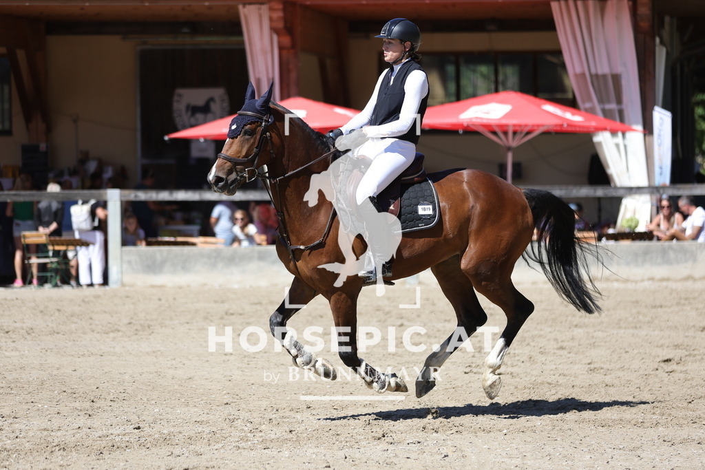 0P6A6082 | Willkommen bei Brunnmayr - Design & Fotografie – Ihrem Spezialisten für Reitturniere und Pferdeveranstaltungen in Oberösterreich, Salzburg und Bayern! Seit über 17 Jahren sind wir leidenschaftlich dabei.