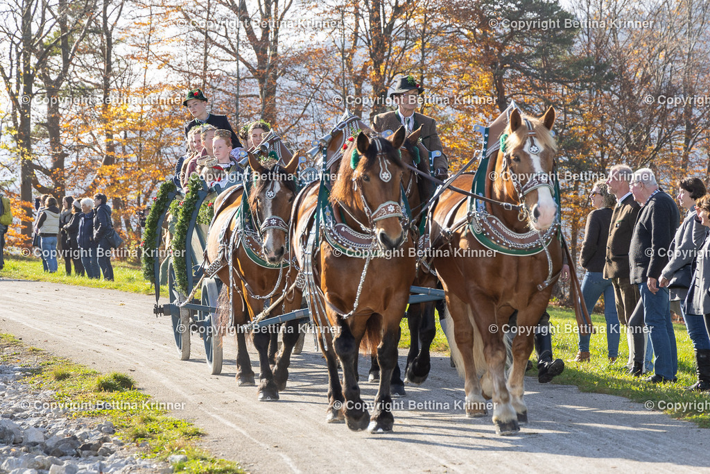 LBT24-1255 | foto-bettina-krinner - Realisiert mit Pictrs.com