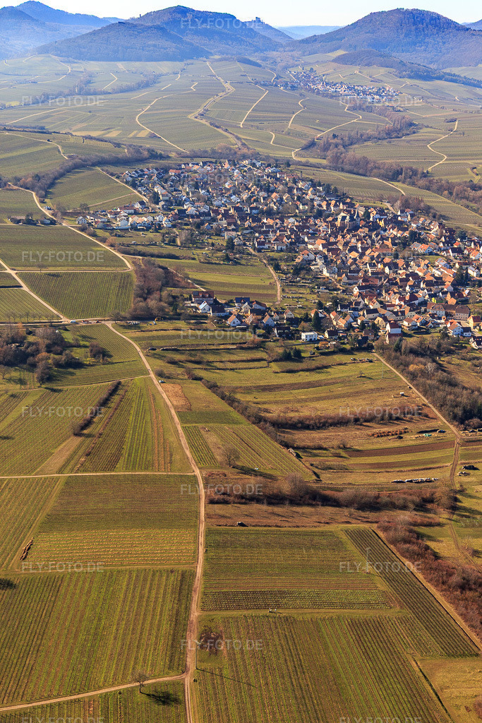 Luftbild: Dorfübersicht aus Osten im Ortsteil Arzheim in Landau im Bundesland Rheinland-Pfalz in Deutschland. Foto: IMG_125278.jpg vom 21.02.2021 durch Werner Riehm/FLY-FOTO.de