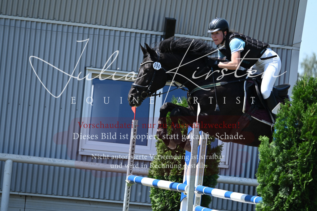 DSC_0716 | Pferde- und Turnierfotografie in Westsachsen. Pferdeportraits, Auftragszeichnungen und intuitive Kunst.