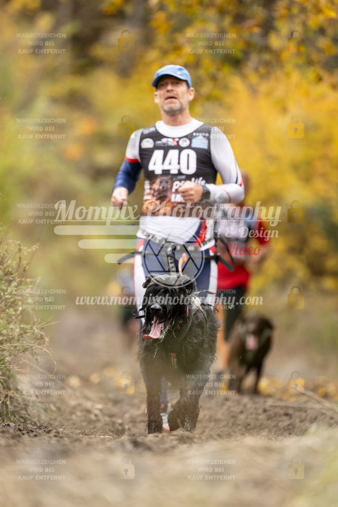 MompixPhotography_ICF_WC_2024_SA_Run_-446 | PayLife