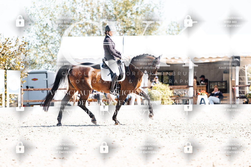 CK909720 | Turnierfotografie Pferdefotografie Trier Rheinland-Pfalz Pferdesport Reitsport Tierfotografie Sportfotografie Pferdevideo Pferdevideografie Equestrianvideography equestrianphotography  - Realisiert mit Pictrs.com