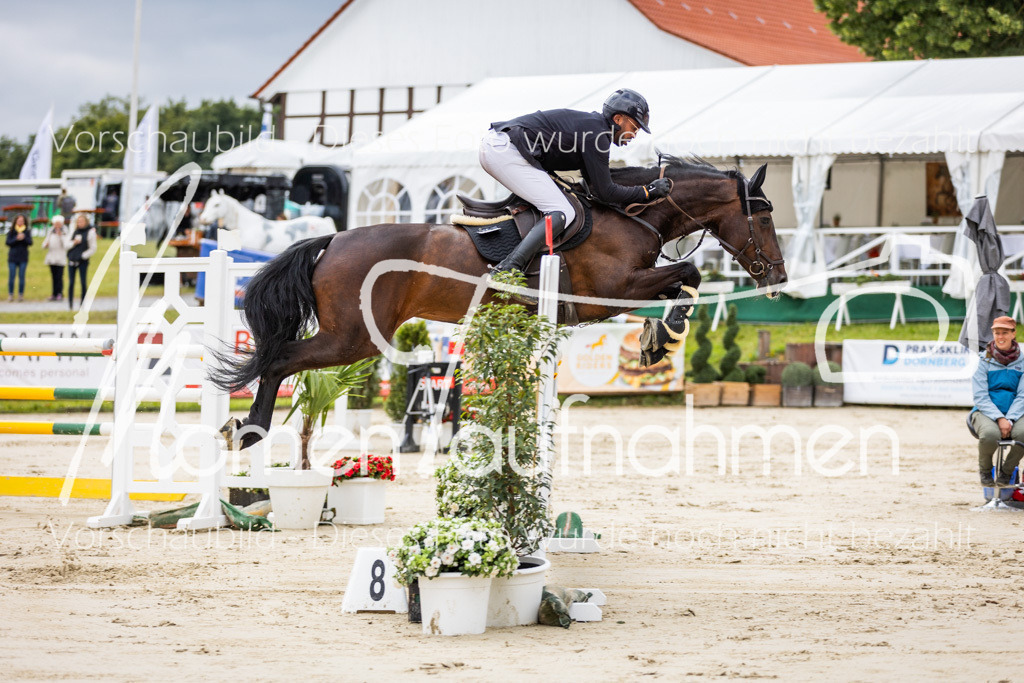 BHO-2PhSpr-M-5-2241 | MomenTaufnahmen Pferdesportfotos