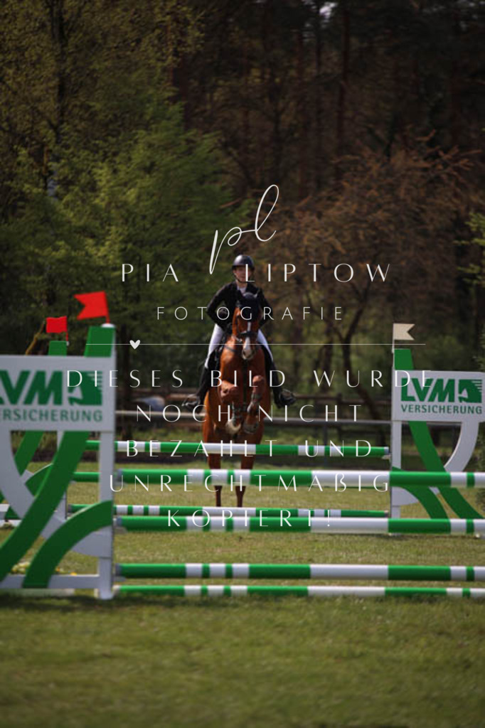 IMGT5349 | pl-fotografie