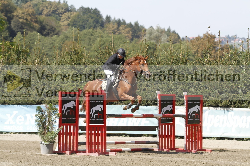 _MG_6387 | equestrian-live-com