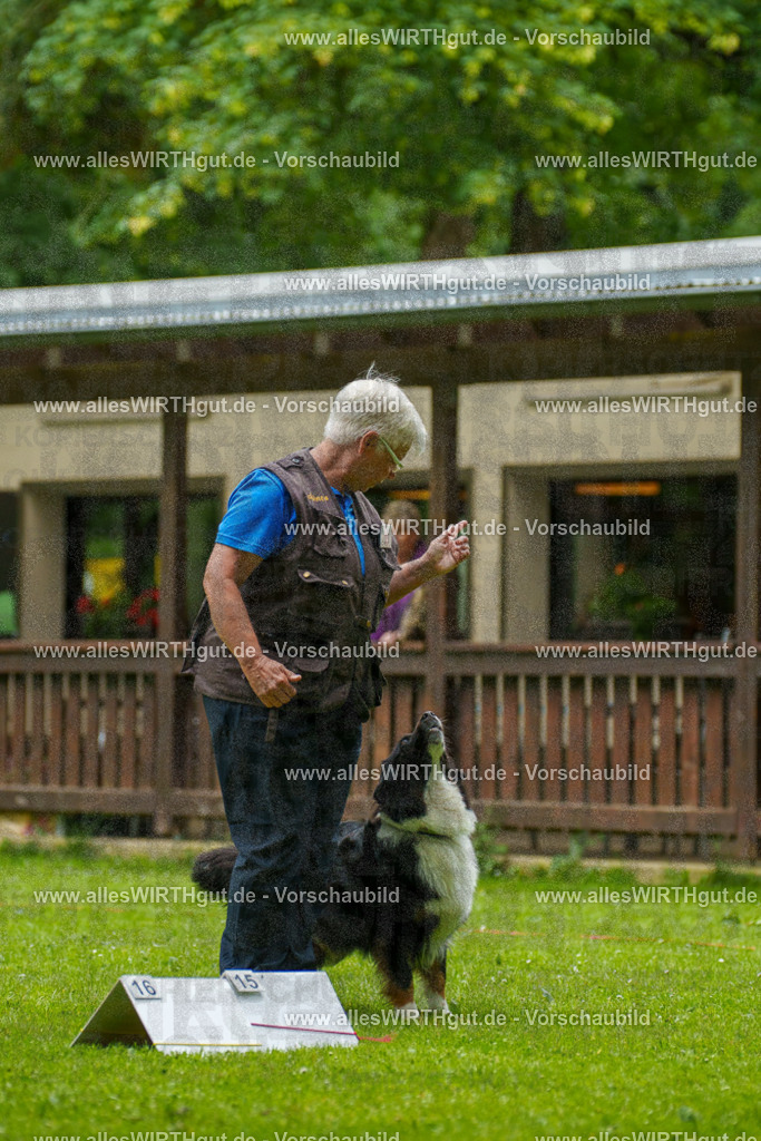 @allesWIRTHgut_Tierfotografie - www.allesWIRTHgut.de - 091502-7R506807 | Professionelle Tierfotografie in Mönchengladbach von Daniel Wirth (allesWIRTHgut). Liebevolle & natürliche Bilder von Hunden & Katzen für unvergessliche Erinnerungen.