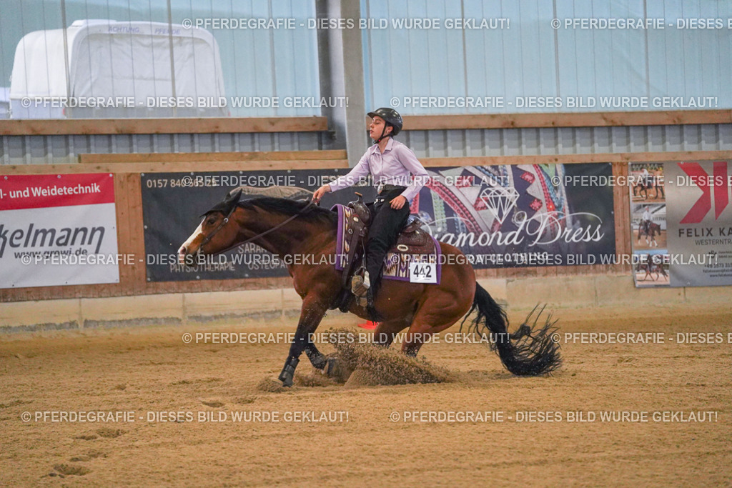 DSC09415 | Pferdegrafie