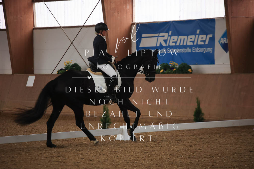 IMGT6914 | pl-fotografie