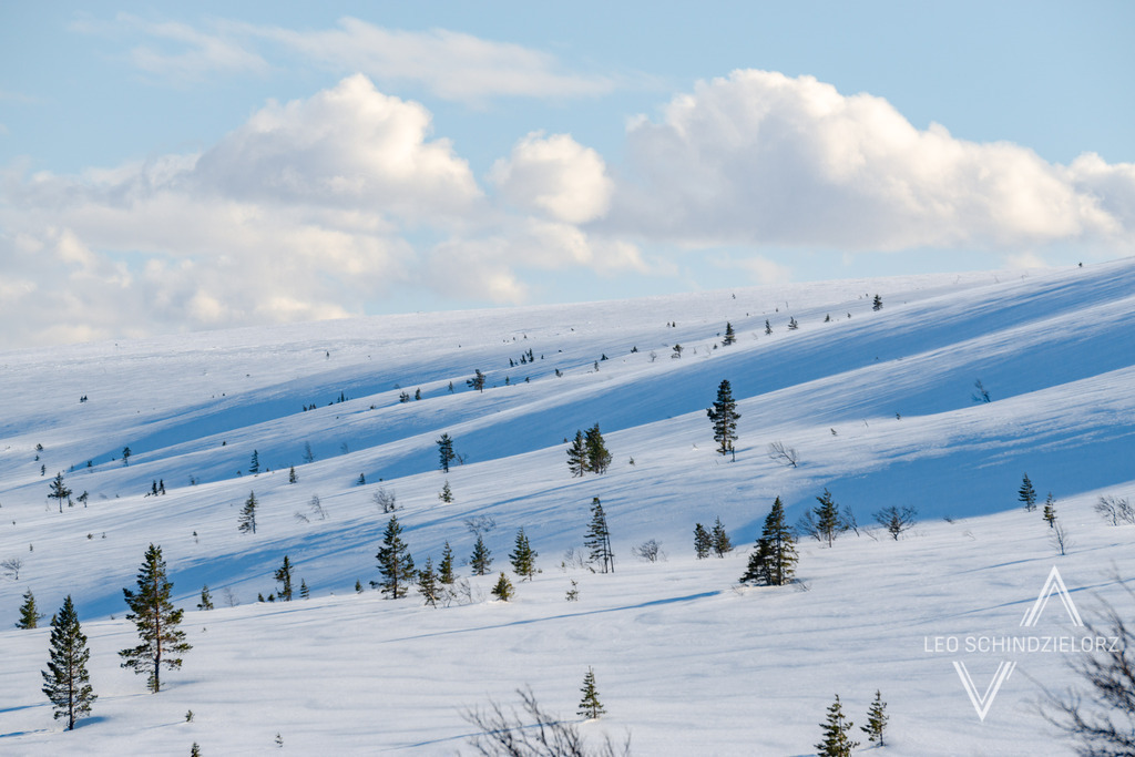Fotografie_Leo_Schindzielorz_SE_Winter_Fulufjällets_NP_20200317_DSC00484_org | Atmosphärische Landschaftsbilder & Drohnenaufnahmen aus dem Allgäu, Tirol, Südtirol & der Schweiz – ideal für Leinwanddrucke & zur stilvollen Raumgestaltung. - Realisiert mit Pictrs.com