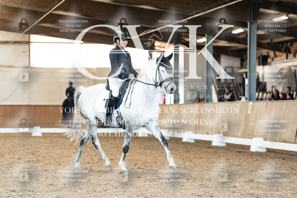 CK909643 | Turnierfotografie Pferdefotografie Trier Rheinland-Pfalz Pferdesport Reitsport Tierfotografie Sportfotografie Pferdevideo Pferdevideografie Equestrianvideography equestrianphotography  - Realisiert mit Pictrs.com