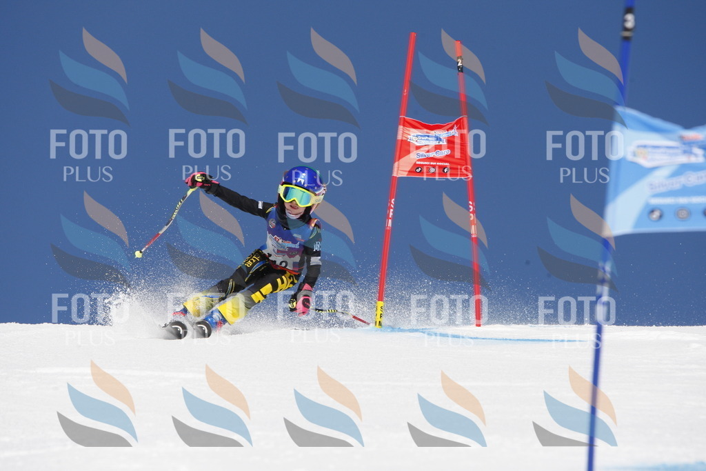 _W1G1672 | holidayphoto