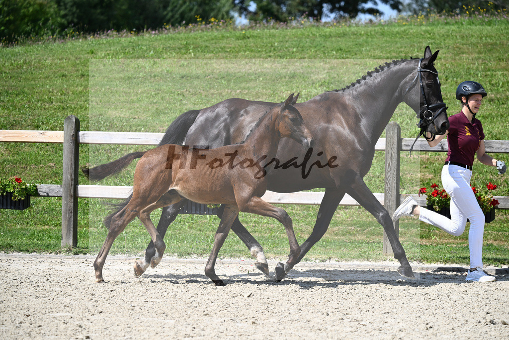 Escaneno x Dante Weltino_HF_Ruth_29240289 | hf-fotografie - Realisiert mit Pictrs.com