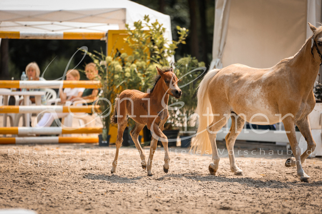 04.DoWP00072 | Leoni Ertmer Photography - Realisiert mit Pictrs.com