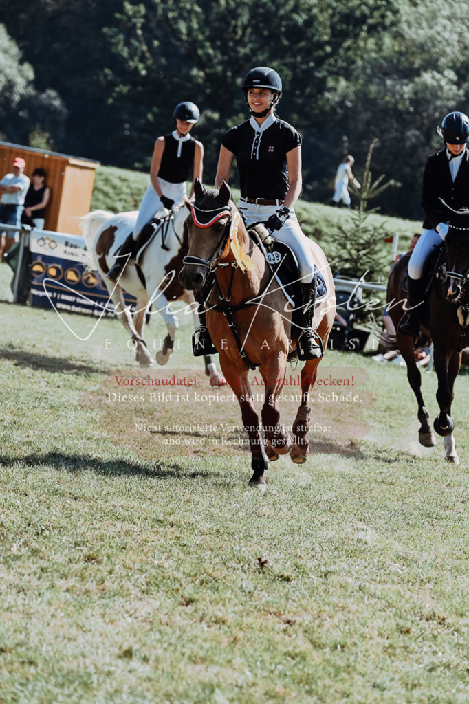 DSC_6221 | Pferde- und Turnierfotografie in Westsachsen. Pferdeportraits, Auftragszeichnungen und intuitive Kunst.