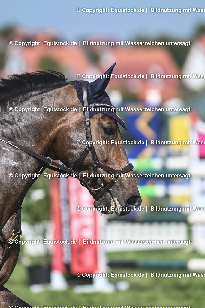 20230908_21_Punktespringen_M_0146 | equistock