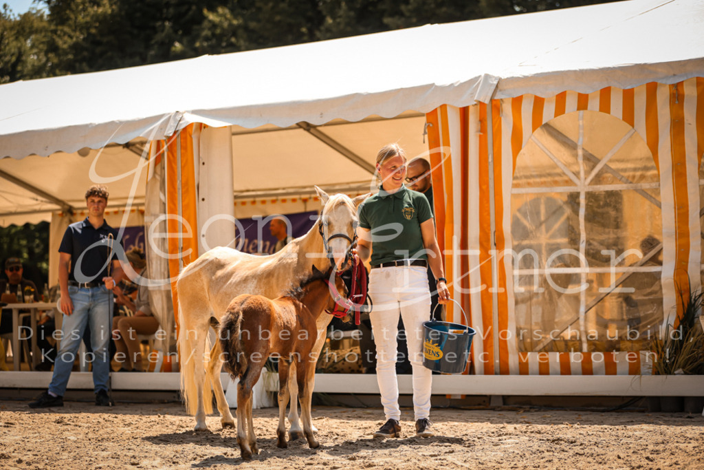 04.DoWP00102 | Leoni Ertmer Photography - Realisiert mit Pictrs.com