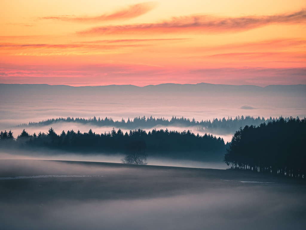 Nebelgrenze | Winterstimmung im Schuttertal im Schwarzwald - Realisiert mit Pictrs.com