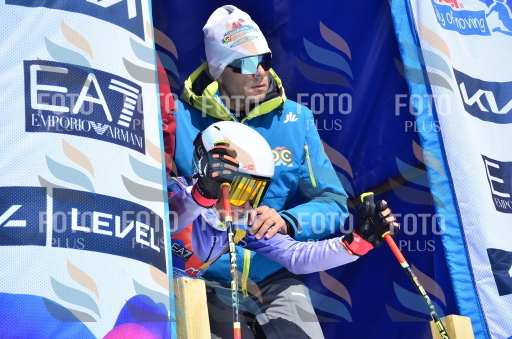 _ELE0869 | holidayphoto