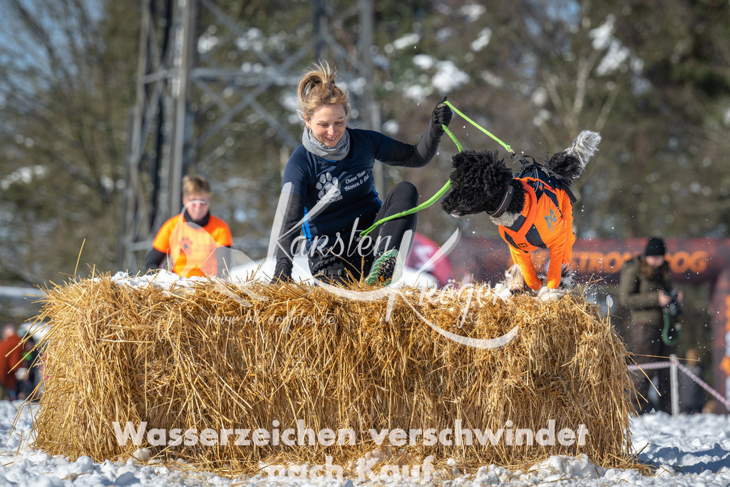 1126_ZZ92116-3 | kk-dogfotos