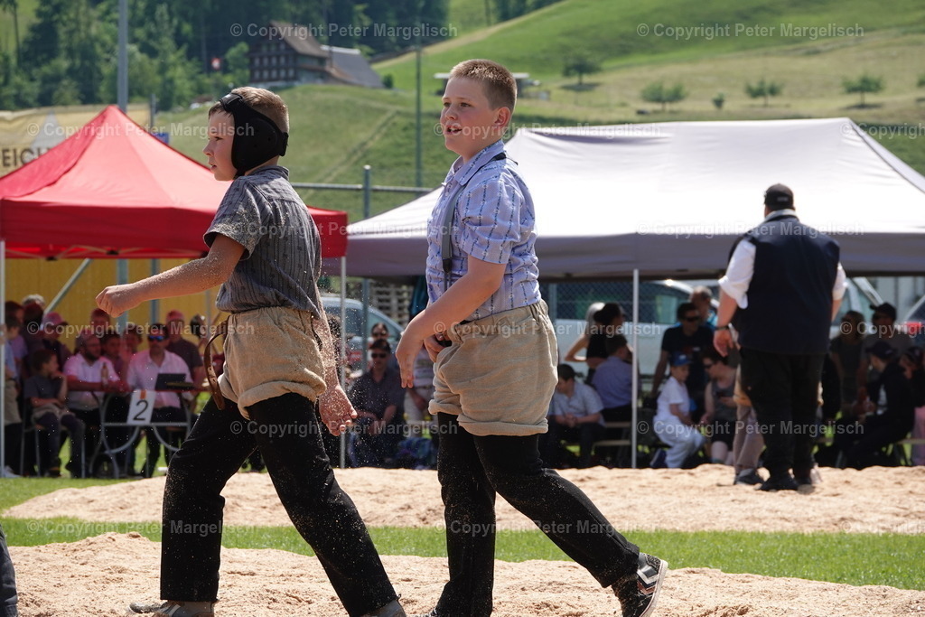 DSC04374 | Schwingen - Realisiert mit Pictrs.com