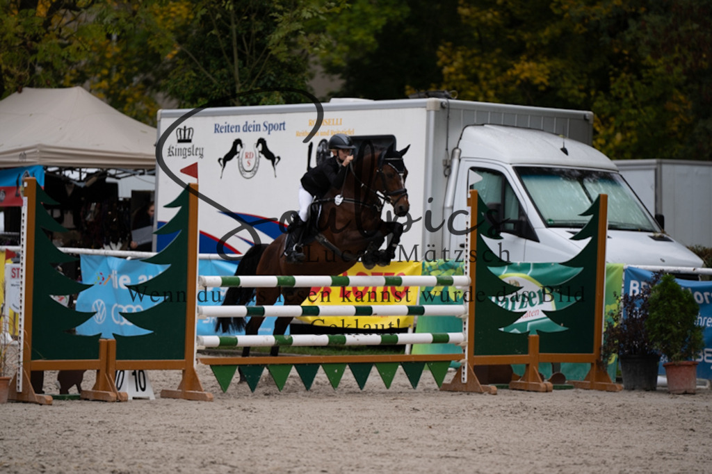 A7V00677 | Pferdefotograf