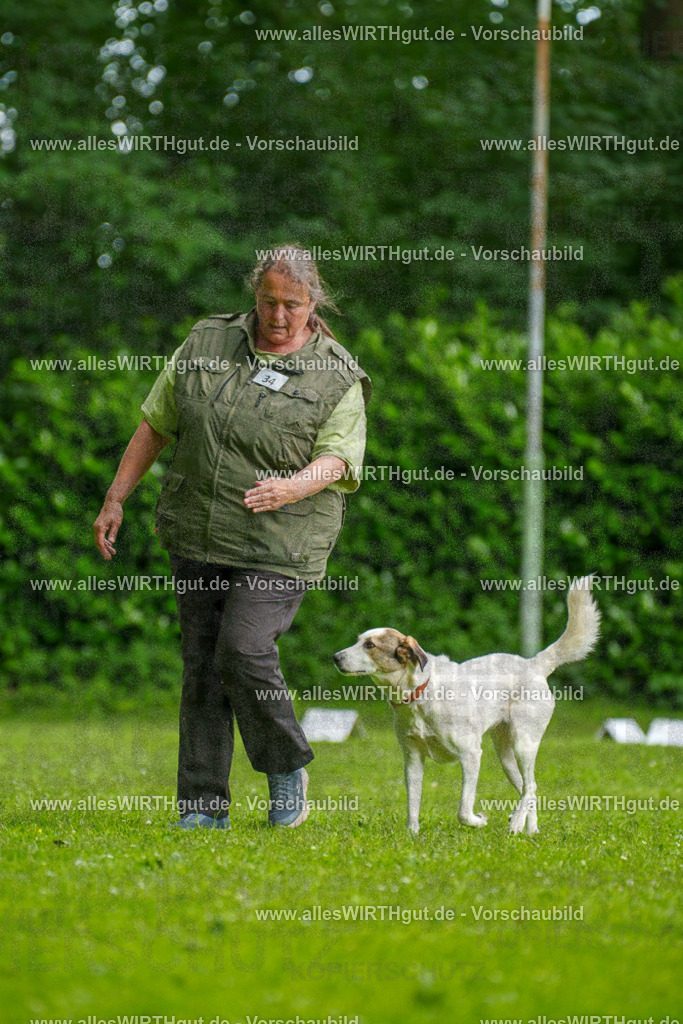 @allesWIRTHgut_Tierfotografie - www.allesWIRTHgut.de - 122926-7R508998 | Professionelle Tierfotografie in Mönchengladbach von Daniel Wirth (allesWIRTHgut). Liebevolle & natürliche Bilder von Hunden & Katzen für unvergessliche Erinnerungen.