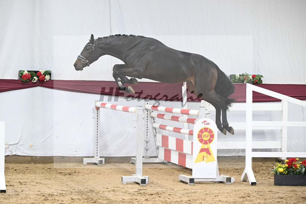 Kat-Nr. 80 Dallas VDL x C-Indoctro_Benjamin Maier_47252791 | hf-fotografie - Realisiert mit Pictrs.com