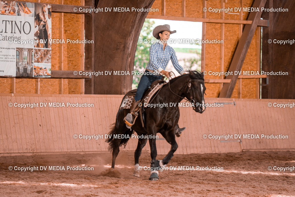 NE300541 | dv-media-shop - Realisiert mit Pictrs.com