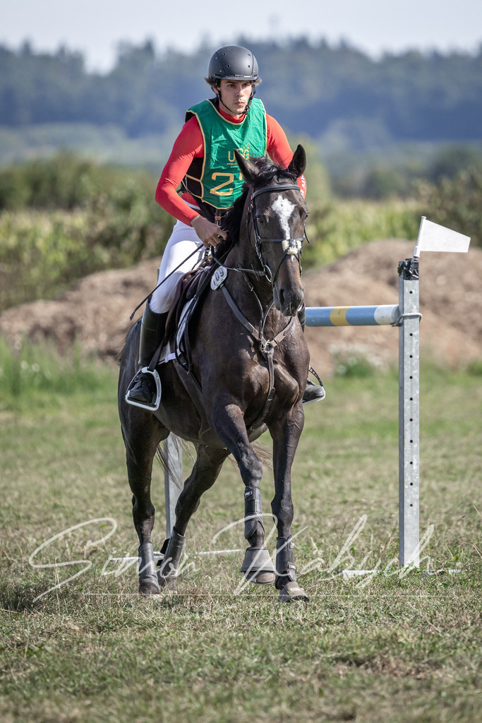 20250907-_3LI2745 | Tierfotografie Pferde, Hunde, Katzen, Haustiere.
Turnierfotografie Reitturniere, Reiten, Springreiten, Dressur in Hanau, dem Main-Kinzig-Kreis und dem Rhein-Main- Gebiet um Frankfurt