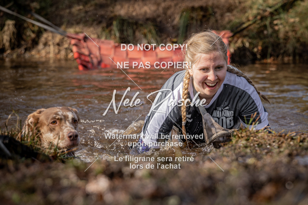 nelerasche_FS1330-1400_361 | nelerasche