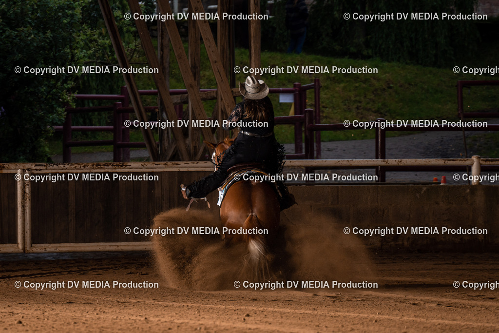 Erbach Tag 2-1134 | dv-media-shop - Realisiert mit Pictrs.com