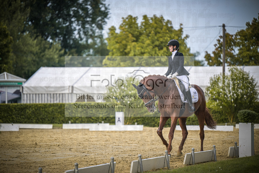 DOS_9398 | Entdecke hochwertige Reitturnierfotos von Foto Oger. Professionell, emotional und authentisch – jetzt Lieblingsmomente im Shop bestellen.Deutschlandweite Turnierfotografie. - Realisiert mit Pictrs.com