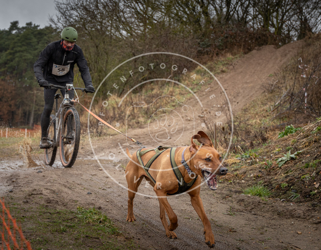 0L8A8981 | Hundefotografie, Tierfotograf, Pfotenfotografie, Fotoshooting Hund, Hunde Portrait, Hundesport, Hundeportraits, Heideshooting, Hunde, Sportfotograf, Hundefotograf, Turnierhundsport, THS,  - Realisiert mit Pictrs.com