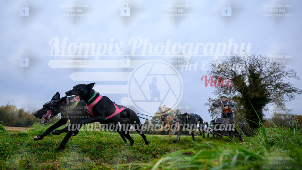 MompixPhotography_CDLBDB2025_DI_Kart-11 | PayLife