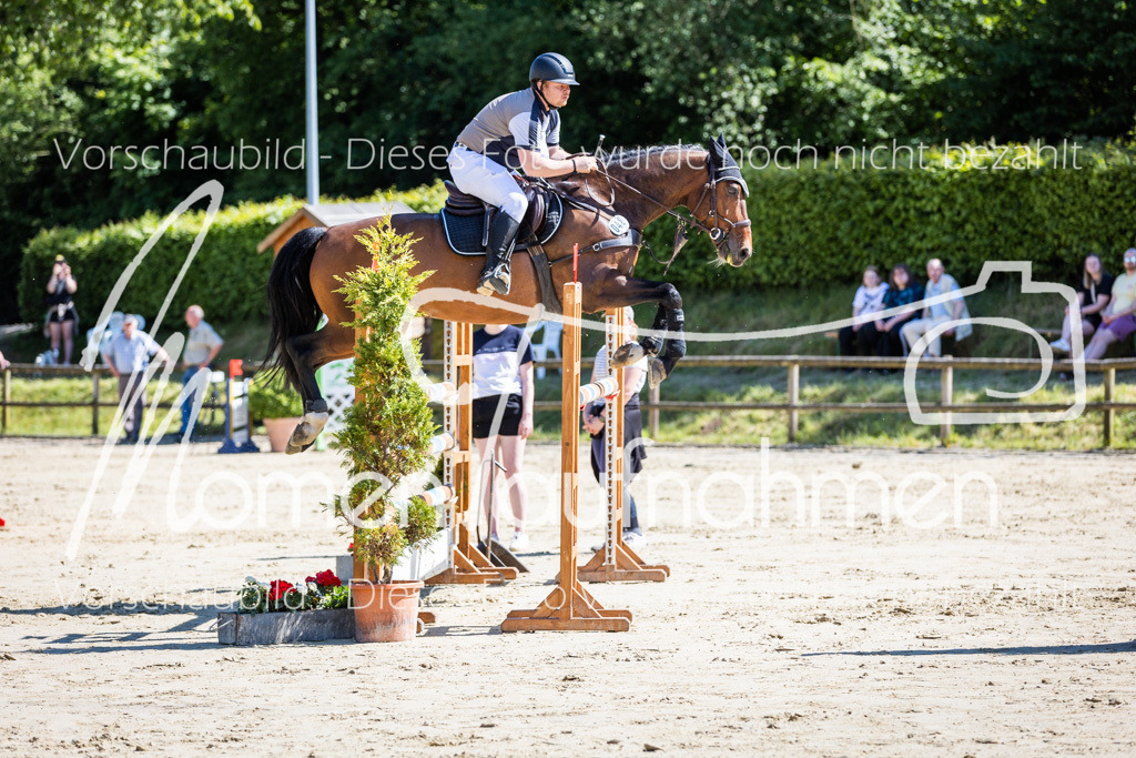 Donop24-M-Spr-078 | MomenTaufnahmen Pferdesportfotos