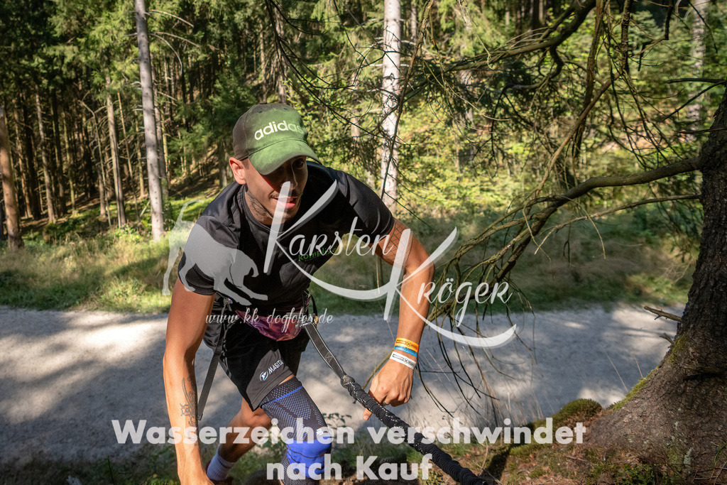 1241_ZZ94985 | kk-dogfotos