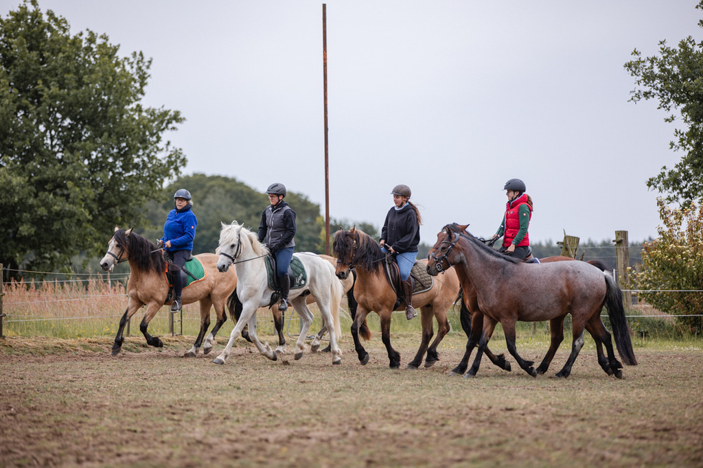 846A0307 | fotosleben - Realisiert mit Pictrs.com