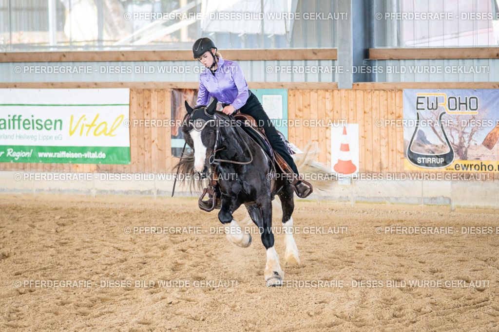 DSC03233 | Pferdegrafie