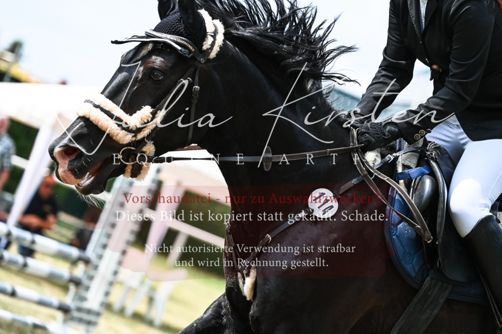 DSC_9139 | Pferde- und Turnierfotografie in Westsachsen. Pferdeportraits, Auftragszeichnungen und intuitive Kunst.