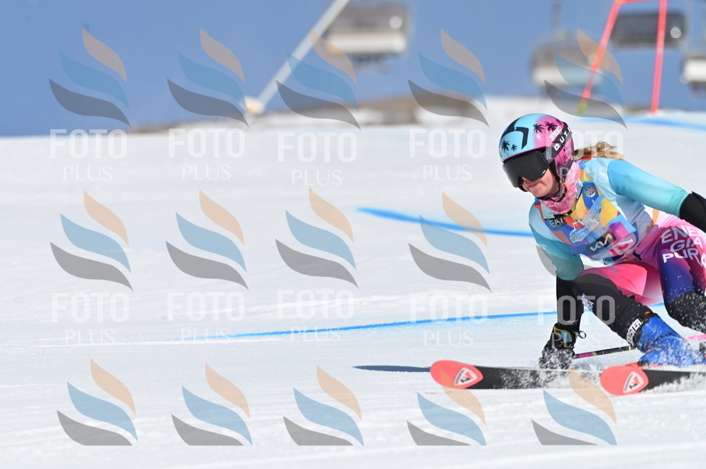 BGV_7859 | holidayphoto