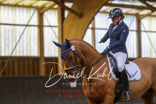 IMG_0331 | Deine Turnierfotos vom Reitturnier online kaufen: Dressur, Springen & Siegerehrung. Professionelle Pferdefotografie aus dem Rheinland – als Download & Print.Alternative: Turnierfotograf für den Pferdesport: Finde deine Fotos von Dressur- und Springturnier