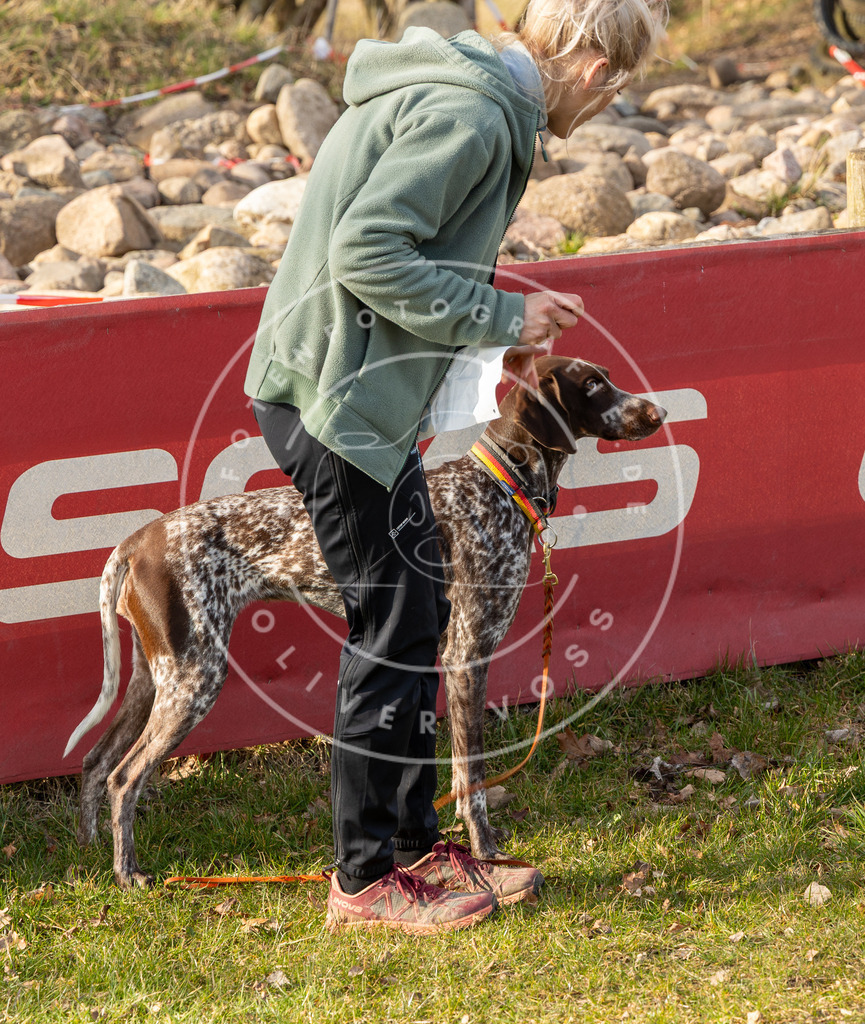 0L8A9094 | Hundefotografie, Tierfotograf, Pfotenfotografie, Fotoshooting Hund, Hunde Portrait, Hundesport, Hundeportraits, Heideshooting, Hunde, Sportfotograf, Hundefotograf, Turnierhundsport, THS,  - Realisiert mit Pictrs.com