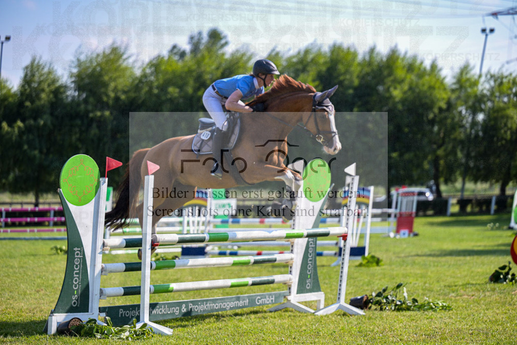 Reitturnier Voxtrup | Entdecke hochwertige Reitturnierfotos von Foto Oger. Professionell, emotional und authentisch – jetzt Lieblingsmomente im Shop bestellen. - Realisiert mit Pictrs.com