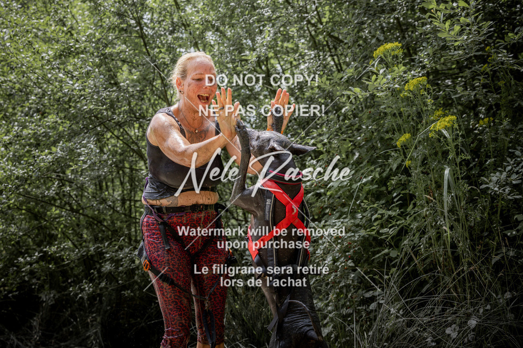 nelerasche_so1300-1330_339 | nelerasche