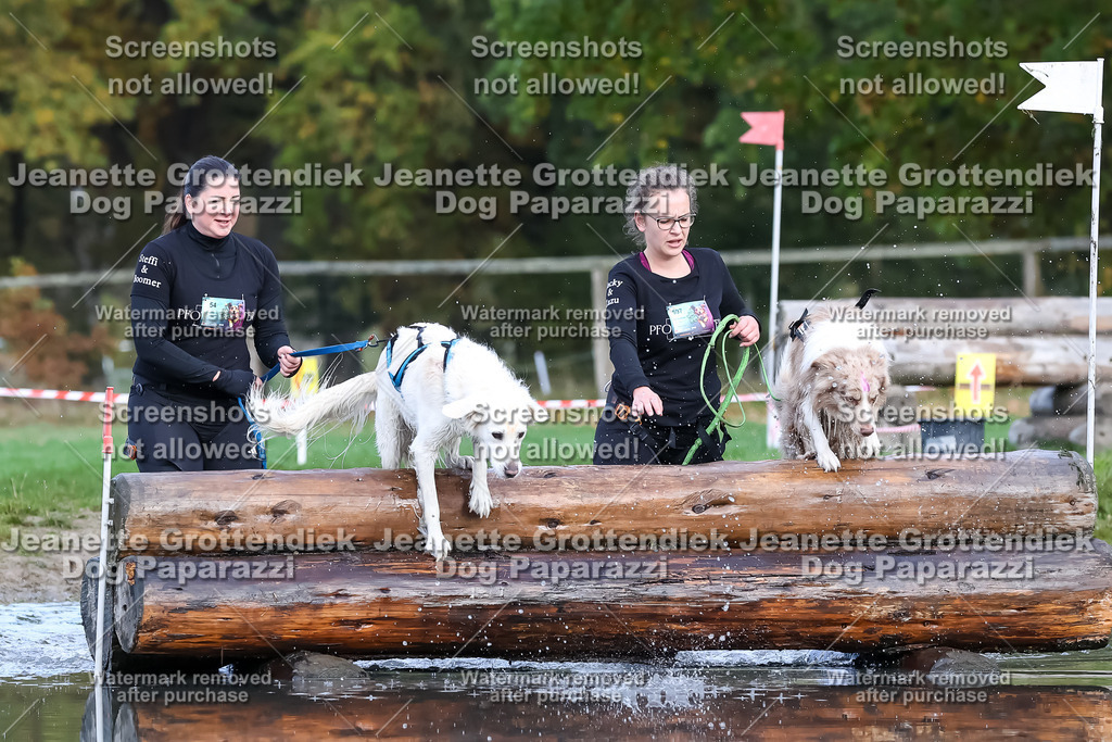 Dog Paparazzi - Strongdog 10-25-6895 | Dog Paparazzi Jeanette Grottendiek Fotografie & Videografie - Realisiert mit Pictrs.com