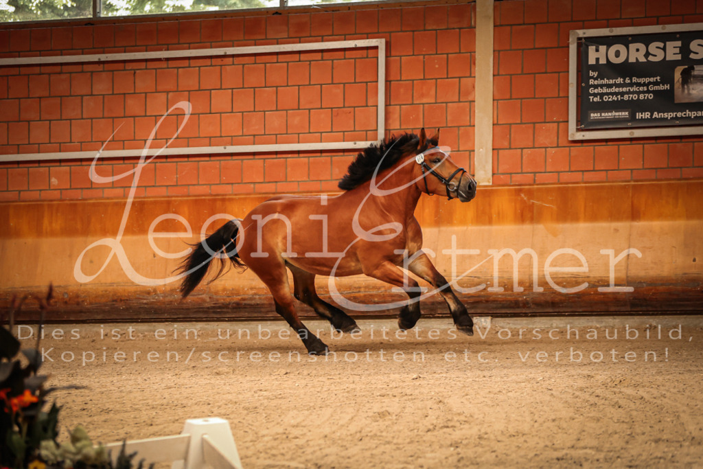 SaFL00035 | Leoni Ertmer Photography - Realisiert mit Pictrs.com