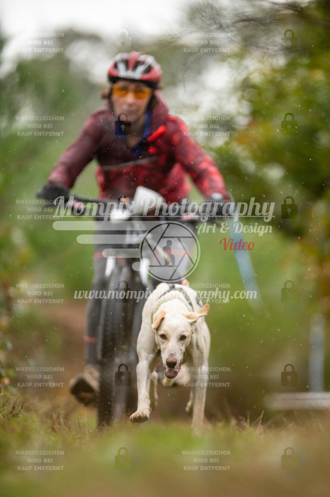 TSB_2023_E5_Bike-41 | PayLife