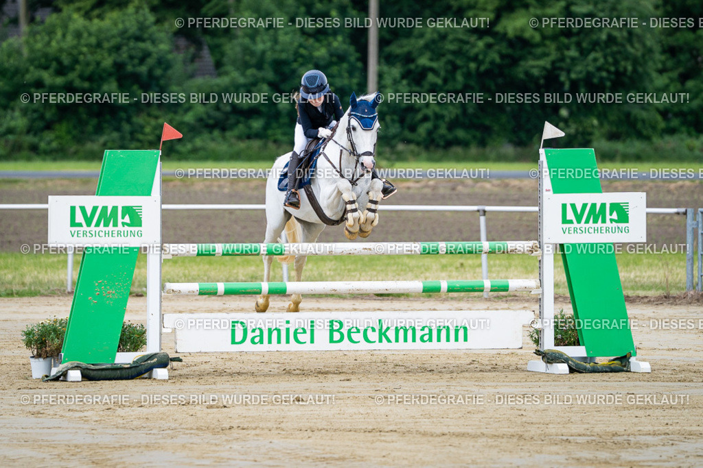 DSC03260 | Pferdegrafie