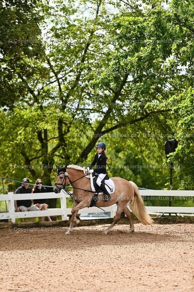 20230716_10-2_Reiter-WB Schritt - Trab - Galopp_0041 | equistock